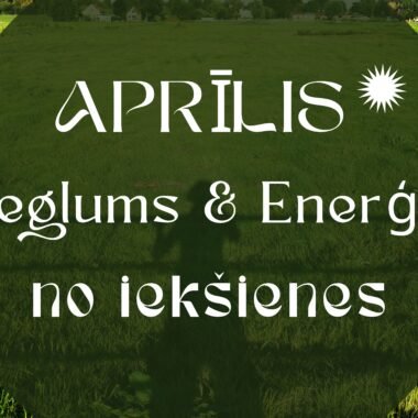 Janvāris – kā atgūt enerģiju un sākt kustēties bez pārslodzes